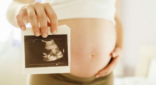 En babys udvikling i livmoderen