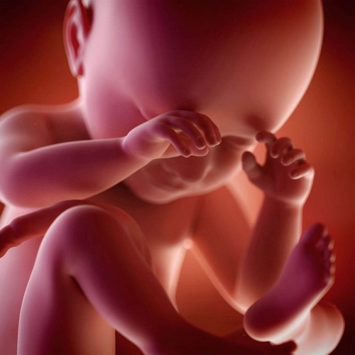 din baby føler hvad du føler