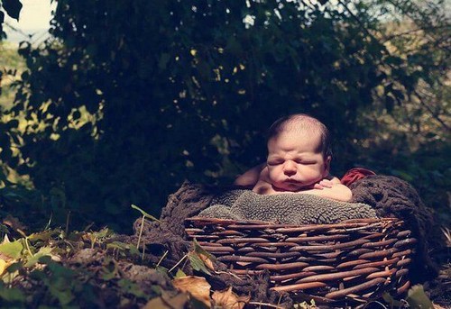 baby ligger i en rede udenfor