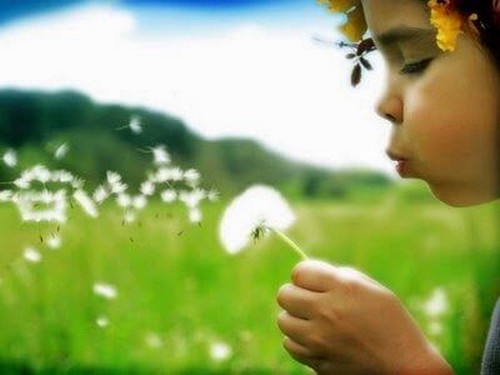 barn puster på en mælkebøtte