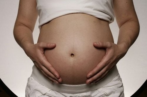 gravid mave