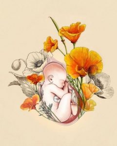 Første hjerteslag fik mig til at elske dig