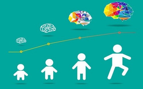 udvikling af hjernen hos børn