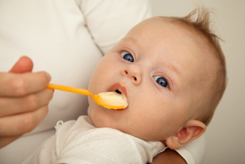 Hvordan og hvornår skal din baby starte med fast føde