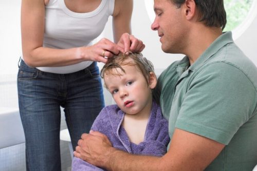 7 tips til forebyggelse og håndtering af lus