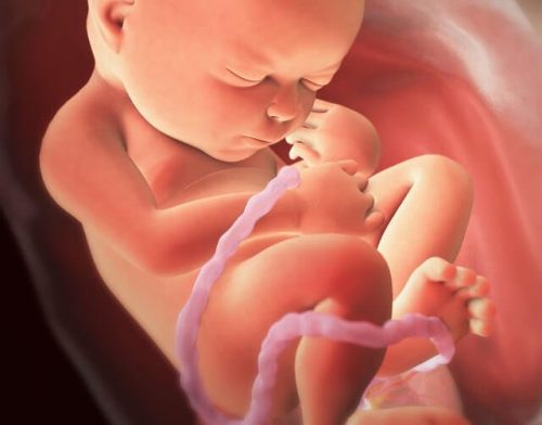 Tegning af baby i maven