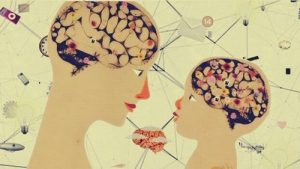 Børns hjerneudvikling og 5 principper, du bør kende