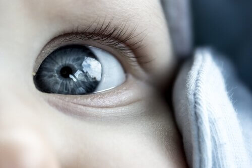Baby med grå øjne