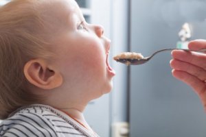 Den 12. måned af en babys liv