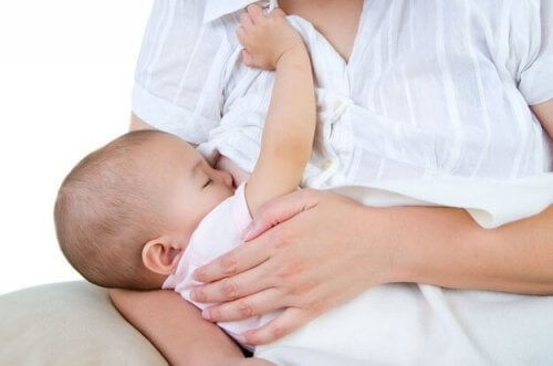 Baby der ammes