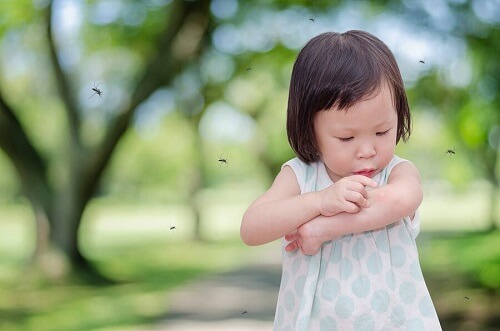 Hvorfor bliver mit barn altid stukket af myg?