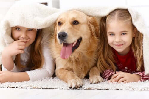 to piger og en hund under samme tæppe