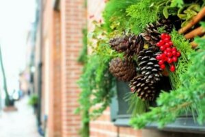 Julepynt i haven: 6 gode idéer