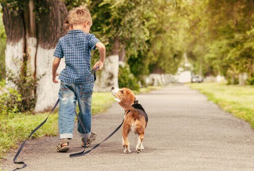 dreng der går tur med hund