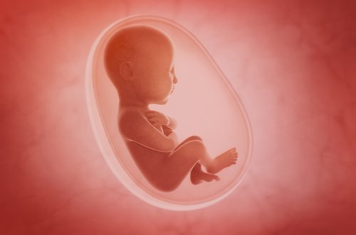 foster i livmoder