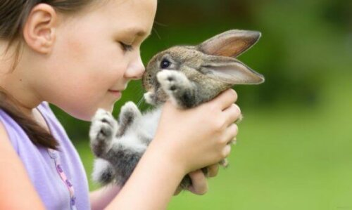 pige med lille kanin