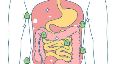 Hvad er en fækal transplantation?