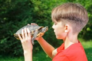 Skildpadde-teknikken: Tricks til at forbedre selvværdet
