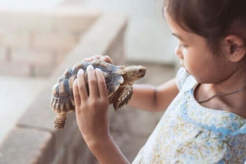 Skildpadde-teknikken kan gøre børns selvværd