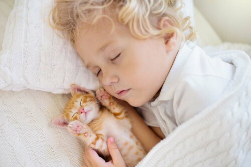 barn der sover med en killing