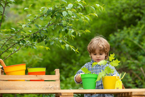 lille dreng der planter