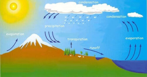 animation af vandets cyklus