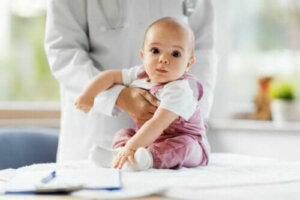 Vulvar synechiae hos piger: Årsager og behandling