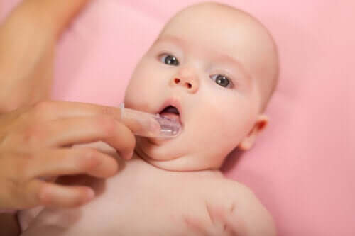 Skal du rense en babys tandkød?