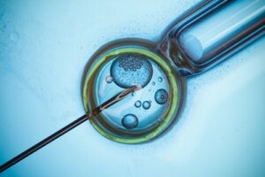 Sådan vælger du den bedste fertilitetsklinik