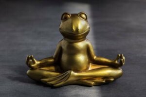 Frø-teknik: En øvelse til børns selvkontrol