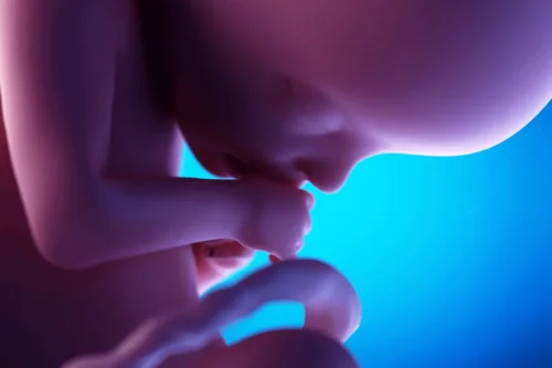 Illustration af et foster i maven