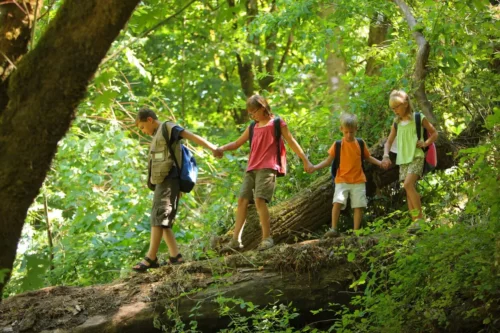 Børn på udflugt i skov