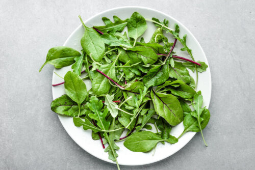 Salat af bladbede under graviditet