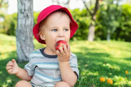Lille barn spiser et æble