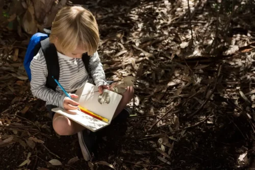 Dreng, der sidder med notesbog i skovbund, repræsenterer worldschooling