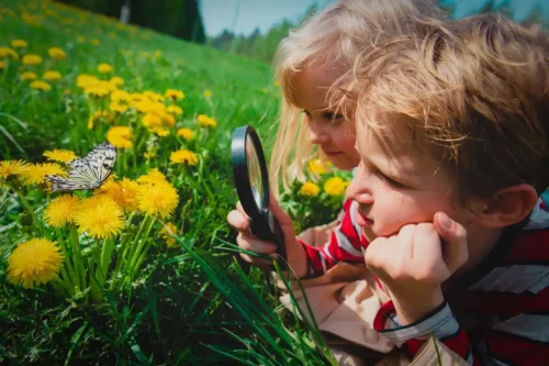 Børn studerer sommerfugl som eksempel på alternativer til lektier