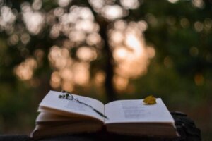 Fordelene ved poesi for teenagere